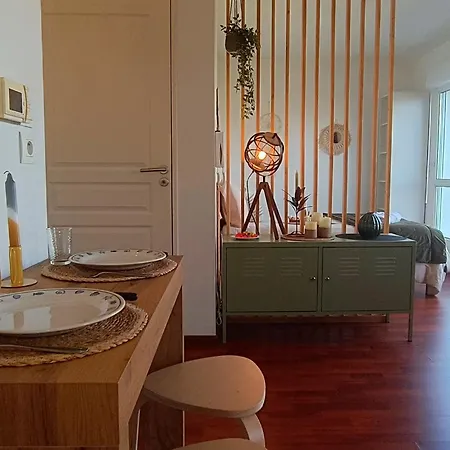 Apartament Central, Vue Sur Le Parc, Parking Prive Gratuit *